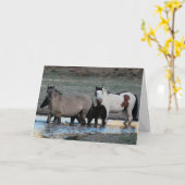 シャーマン&グラニート~凡例グリーティングカード カード (黄色い花)