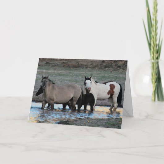 シャーマン&グラニート~凡例グリーティングカード カード (正面)