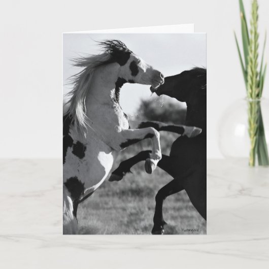 「シャーマン」グリーティングカード カード (正面)