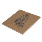 シャーマン・ペトログリフコソレンジ，カリフォルニア タイル (側面)