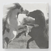 シャーマン、野生の薬の帽子の種馬のコースター ストーンコースター (正面)