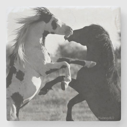 シャーマン、野生の薬の帽子の種馬のコースター ストーンコースター (正面)