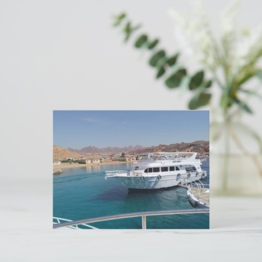 シャーム・エル・シェイク港にヨットを持つ港 ポストカード (スタンド正面)