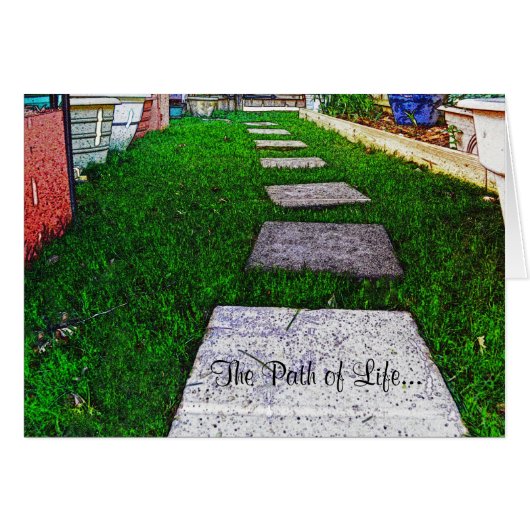 シャーリー・テイラーによるステッピングストーンズ (正面横)