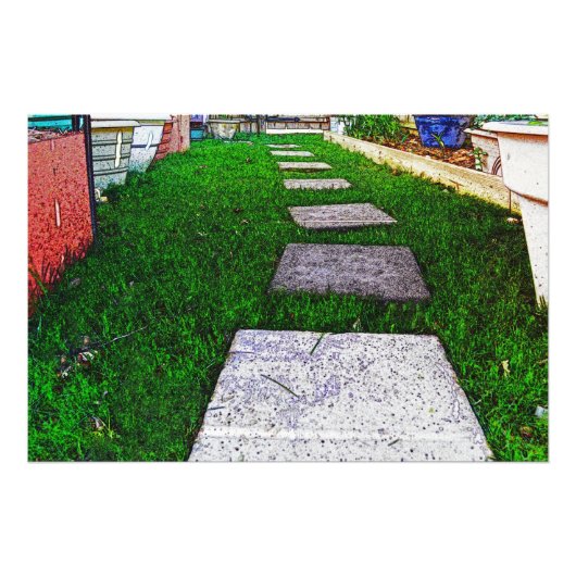 シャーリー・テイラーによるステッピングストーンズ フォトプリント            (正面)