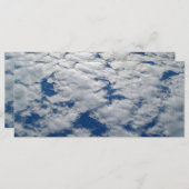 シャーリー・テイラーによる空のパターン (正面/裏面)