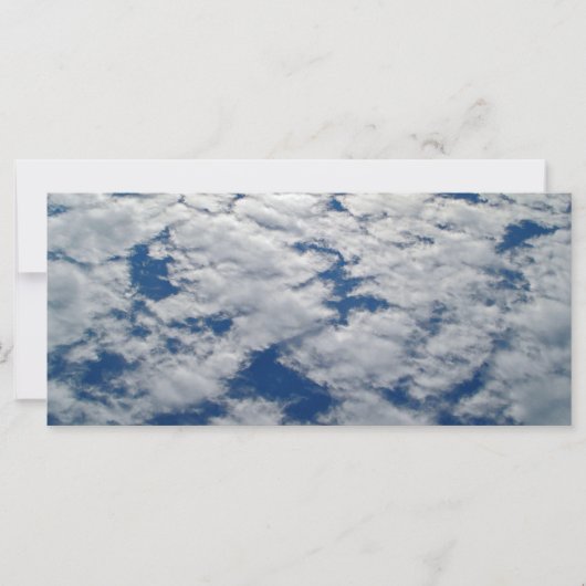 シャーリー・テイラーによる空のパターン (正面)