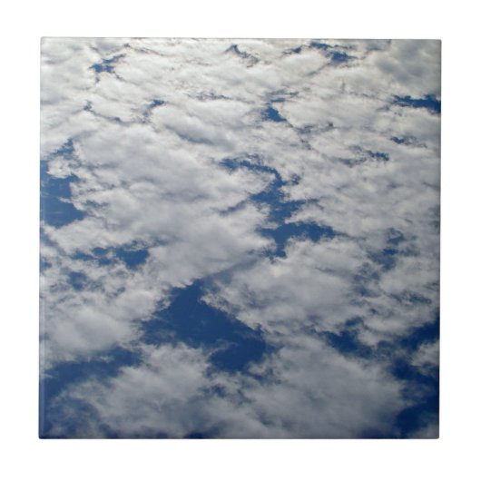 シャーリー・テイラーによる空のパターン タイル (正面)