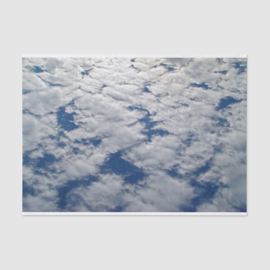 シャーリー・テイラーによる空のパターン 薄葉紙 (正面)