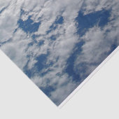 シャーリー・テイラーによる空のパターン 薄葉紙 (詳細)