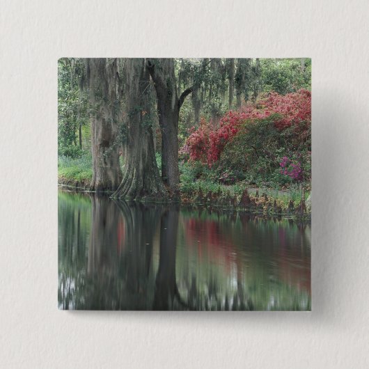 シャールストン·サウスカロライナ 缶バッジ (正面)