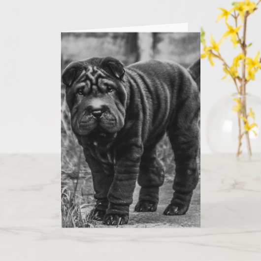 シャールペイ犬かわいい誕生日カード カード (黄色い花)