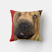 シャールペイ色ブロック クッション (裏面)