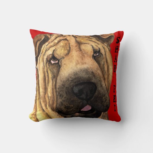 シャールペイ色ブロック クッション (正面)