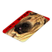 シャールペイ色ブロック マグネット (左側)