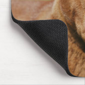 シャールペイ マウスパッド (コーナー)