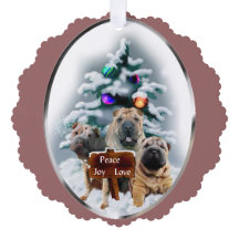 シャール中国のペイのクリスマスプレゼント