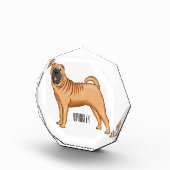 シャール中国のペイ犬の漫画イラストレーション フォトブロック (右)