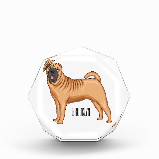 シャール中国のペイ犬の漫画イラストレーション フォトブロック (正面)