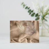 シャール中国のペイ迷彩しわ隠れスポット ポストカード (スタンド正面)