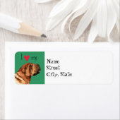 シャール中国のペイ ラベル (インサイチュ)