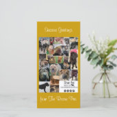 シャール平レスキューのクリスマスカード シーズンカード (スタンド正面)