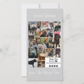 シャール平レスキューのクリスマスカード シーズンカード