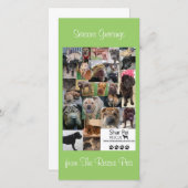 シャール平レスキューのクリスマスカード シーズンカード (正面/裏面)