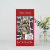 シャール平レスキューのクリスマスカード シーズンカード (スタンド正面)