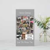 シャール平レスキューのクリスマスカード シーズンカード (スタンド正面)