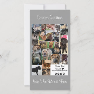 シャール平レスキューのクリスマスカード シーズンカード