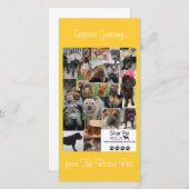 シャール平レスキューのクリスマスカード シーズンカード (正面/裏面)