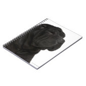 シャール平（1歳）クローズアップ ノートブック (左側)