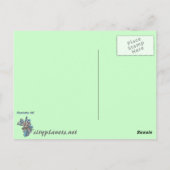 シャーロット2012 ポストカード (裏面)