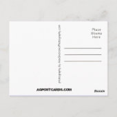 シャーロットNC ポストカード (裏面)