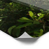 シャー・ルク・カーン引用文 – 希望を持って歩いて….. ポスター (角)