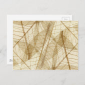 シュアクリームベージュレース葉ズ ポストカード (正面/裏面)