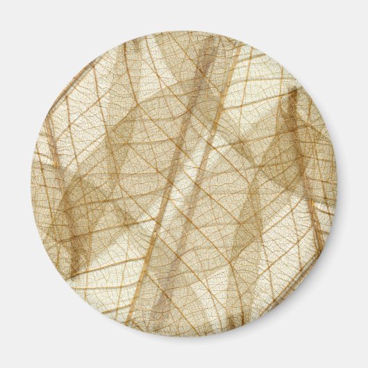 シュアクリームベージュレース葉ズ マグネット (正面)