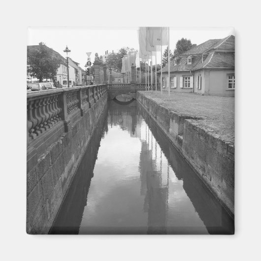 シュウェツィンゲンキャッスルムート マグネット (正面)