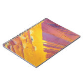 シュウ酸の水晶 ノートブック (左側)