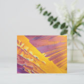 シュウ酸結晶 ポストカード (スタンド正面)