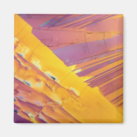 シュウ酸結晶 マグネット (正面)