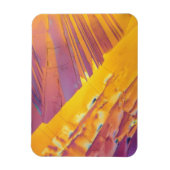 シュウ酸結晶 マグネット (縦)