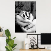 シュガーグライダーのポスター ポスター (ホームオフィス)