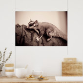 シュガーグライダーのポスター ポスター (キッチン)