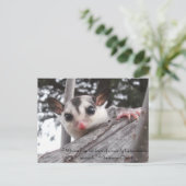 シュガーグライダーのポストカード ポストカード (スタンド正面)