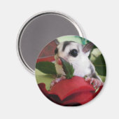 シュガーグライダー付バラ マグネット (正面/裏面)