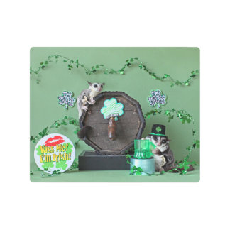 シュガーグライダー聖パトリックの日 メタルプリント