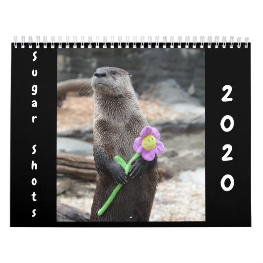 シュガーショット2020カレンダー カレンダー (カバー)