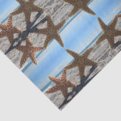 シュガースターフィッシュオンビーチティッシュペーパー 薄葉紙 (詳細)